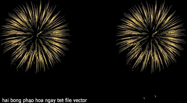 hai bong phao hoa ngay tet file vector